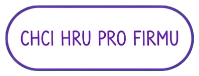 Chci hru pro firmu
